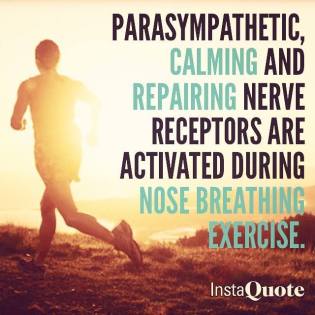 11062015_923503411028751_4538805947607290031_n